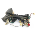 SFM Sachs XTC-S 125 2015 - Wiring harness A5594