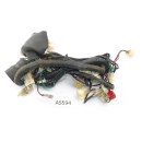 SFM Sachs XTC-S 125 2015 - Mazo de cables A5594