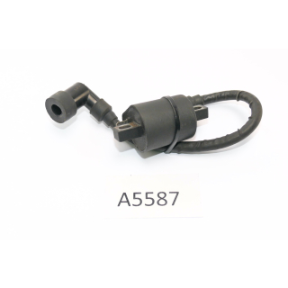 SFM Sachs XTC-S 125 2015 - Ignition coil A5587