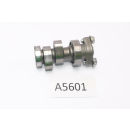 SFM Sachs XTC-S 125 2015 - Camshaft A5601