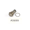 KTM 640 Adventure LC4 1998 - Oil strainer plug screw A5699