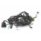 Honda CB 650 R ABS RH02 2020 - Wiring harness A286C