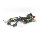 Honda CBR 125 R JC34 2004 - Mazo de cables A5746