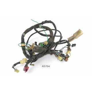 Honda VT 1100 C2 SC32 1995 - Mazo de cables A5794