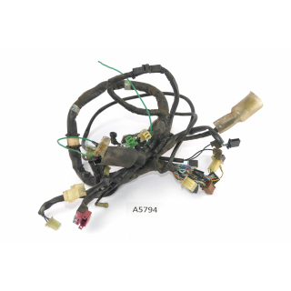 Honda VT 1100 C2 SC32 1995 - Wiring harness A5794