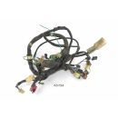 Honda VT 1100 C2 SC32 1995 - Mazo de cables A5794