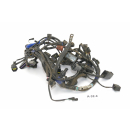 Triumph Tiger 1050 2006 - Wiring harness A32C