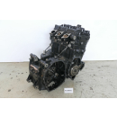 Triumph Tiger 1050 2006 - Engine without attachments...