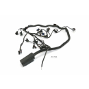 BMW K 1200 R K12R 2005 - Mazo de cables del motor A5781