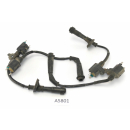 Honda XL 600 V PD06 1988 - Bobinas de encendido MP02 A5801