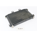 Suzuki GSX 1200 Inazuma 1999 - Oil cooler A25F