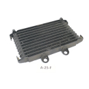 Suzuki GSX 1200 Inazuma 1999 - Oil cooler A25F