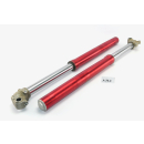 Fantic XEF 125 FA13 2020 - Perdite ammortizzatori steli...