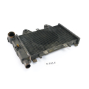 Triumph Tiger 900 T400 1999 - Radiateur refroidisseur deau A141F