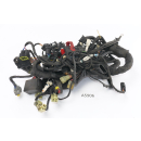 MV Agusta Brutale 1090 RR 2010 - Mazo de cables...