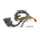 Kawasaki KLR 600 KL600B 1988 - Mazo de cables 260011694...