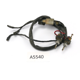 BMW R 100 RS 247 1981 - Mazo de cables A5540