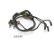 BMW R 100 RS 247 1981 - Mazo de cables A5540