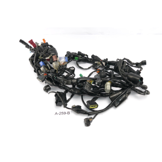 Honda CB 1000 RA SC80 2018 - Mazo de cables A259B