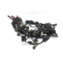 Honda CB 1000 RA SC80 2018 - Mazo de cables A259B