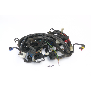 Moto Guzzi Breva V 1100 2007 - Mazo de cables A5951