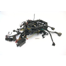 Triumph Speed Triple 1050 515NJ 2007 - Wiring harness A5972