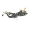 Yamaha XVS 650 A Drag Star VM02 - Mazo de cables A5997