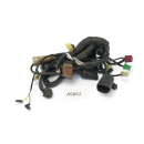 Honda VT 600 C PC21 1999 - Wiring harness A5862