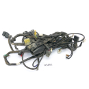 Honda CBR 125 RR JC50 2012 - Mazo de cables A5893