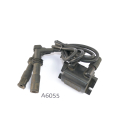 BMW R 1150 GS R21 2000 - ignition coil A6055