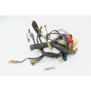 Honda Z 50 J Monkey - mazo de cables A6035