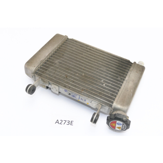 Honda CBR 125 RR JC50 2012 - Radiator Water Cooler A273E