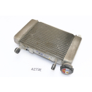 Honda CBR 125 RR JC50 2012 - Radiator Water Cooler A273E