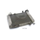 Honda CBR 125 RR JC50 2012 - Radiator Water Cooler A273E