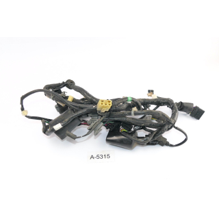 Honda CBR 125 RR JC50 2012 - Mazo de cables A5815