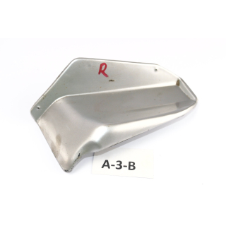 Aprilia ETV 1000 Caponord 2001 - Deflector fairing right A3B