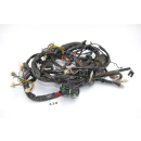 Aprilia ETV 1000 Caponord 2001 - Wiring harness A3B