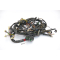 Aprilia ETV 1000 Caponord 2001 - Wiring harness A3B