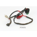 Aprilia ETV 1000 Caponord 2001 - Kabel Sicherungskasten A5605