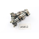 Aprilia ETV 1000 Caponord 2001 - Camshafts A5812