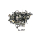 Triumph Tiger 900 T400 1995 - Engine bolts A3908