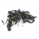 BMW F 650 CS K14 2002 - Mazo de cables A13C