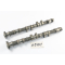 Triumph TT 600 806AD 2000 - Camshaft A5301