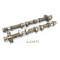 Triumph Sprint ST 1050 215NA 2007 - Camshaft A234G