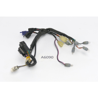 Triumph Tiger 955i 709EN 2001 - Cable Indicator Lights Instruments A6090