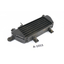 Triumph Tiger 955i 709EN 2001 - Oil cooler A1053