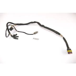 Ducati Monster S4R 2003 - cableado piloto trasero A5697