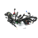 KTM 125 Duke 2017 - Wiring harness A3862