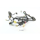 Honda CBR 125 R JC34 2004 - Mazo de cables A4200