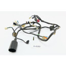 Honda CBR 125 R JC34 2004 - Mazo de cables A4200